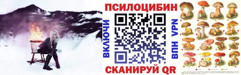 Галлюциногенные грибы прущие грибы  закладки  Брянск 